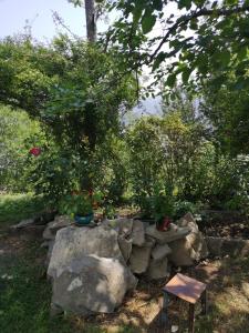 a garden with a chair and some rocks and trees at Rubina Bed and Breakfast in Tatʼev