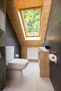 Ένα μπάνιο στο ŻŁOBINA Apartament