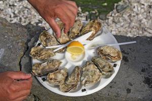a plate of food with an egg and oysters at chambres d'hotes REGINE in La Gouesnière
