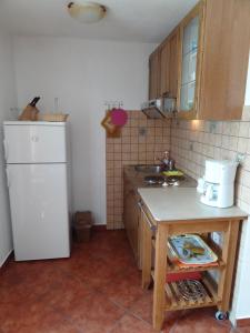 Kuchyň nebo kuchyňský kout v ubytování APARTMAN Nikolina