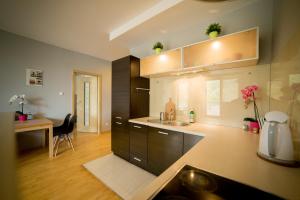 Η κουζίνα ή μικρή κουζίνα στο Dekart Arkadia Apartments