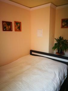 ein Schlafzimmer mit einem weißen Bett und einer Topfpflanze in der Unterkunft Ferienwohnung am Finkenherd in Dankerode