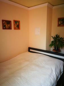 a bedroom with a white bed with a potted plant at Ferienwohnung am Finkenherd in Dankerode