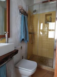 a bathroom with a shower and a toilet and a sink at La Casita de Ainhoa in Agüimes