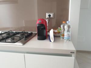 Kuchyň nebo kuchyňský kout v ubytování La Passione Dei Sassi