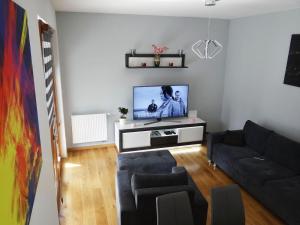 salon z kanapą i telewizorem z płaskim ekranem w obiekcie Beautiful City Centre Apartament w Krakowie