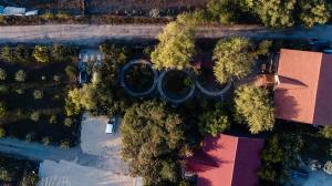 an overhead view of the olympic rings in trees at Vila Pabo in Vama Veche
