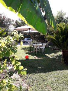 a table and an umbrella in a yard at casa Marilena in Tivoli +16 photos