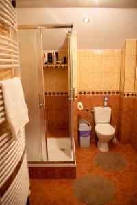 uma casa de banho com um chuveiro e um WC. em Dom Pod Orzechami em Nałęczów