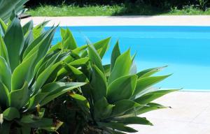 Billede fra billedgalleriet på CASA DE CAMPO NA CIDADE DA SAÚDE i Serra Negra