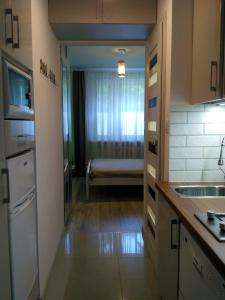 eine Küche mit einem Waschbecken und einem Sofa in einem Zimmer in der Unterkunft Apartament UnoPuro w centrum Giżycka in Giżycko