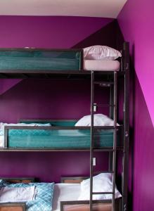 a room with three bunk beds with purple walls at Amsterdam Hostel Leidseplein in Amsterdam