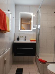 皮爾納的住宿－Ferienwohnung Angelo，一间带水槽、镜子和淋浴的浴室