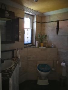 ein Bad mit einem WC, einem Waschbecken und einem Fenster in der Unterkunft Ferienwohnung am Finkenherd in Dankerode