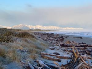 a pile of logs on a beach next to the ocean at Haast Beach Motel in Haast