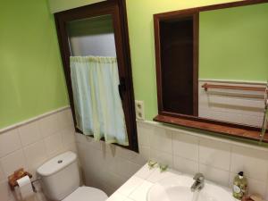 ein Badezimmer mit einem WC, einem Waschbecken und einem Spiegel in der Unterkunft VUT Casa Helen in Avila