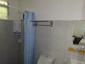 a bathroom with a toilet and a blue shower curtain at ARAMARA Resort in Panglao