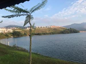 a palm tree next to a body of water at Ipoh Water Front City Homestay in Ipoh