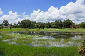 a pond in a field with clouds in the sky at Luxury 4BR Pool Home with Jacuzzi- Inverness in Inverness