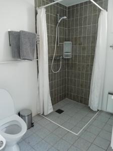 a bathroom with a shower and a toilet at Like home Bed & Breakfast in Varde