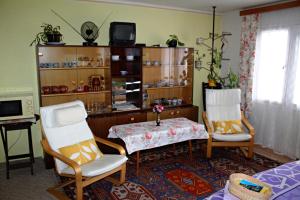 Kuchyň nebo kuchyňský kout v ubytování Apartment Telč Hradecka + 37 fotografií