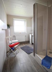 a bathroom with a shower and a chair and a toilet at Ferienhof-Friedenshof-Gerste in Vollerwiek