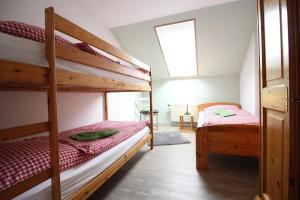 a bedroom with two bunk beds and a window at Ferienhof-Friedenshof-Gerste in Vollerwiek