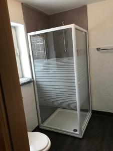 a glass shower in a bathroom with a toilet at Gretel von Birne in Winterberg