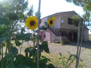 a house with sunflowers in front of it at Enjoy Sunset in Colle Massari