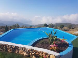 a blue swimming pool with a flower garden next to it at Las Tres Patas Complejo Rural in Enix