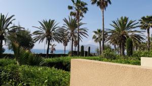 Photo de la galerie de l'établissement T2 rez de jardin front de mer, à Cannes