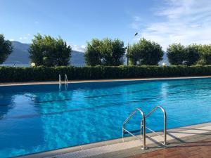 a large blue swimming pool with trees in the background at Casa Anna - Parco Hermitage in Porto Valtravaglia