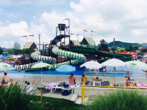 a water park with a slide in the water at Apartment Amy in Podčetrtek +34 photos
