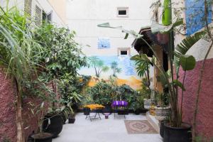 Zahrada ubytování Dar Berrada - Ziat & Appartement