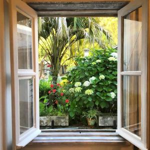a window that has plants in it at Hostel das Flores in Senhora da Hora