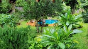 Un jardín fuera de Sang Tong Huts