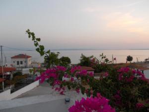a view from the roof of a house with pink flowers at Hotel Flisvos in Megalochori