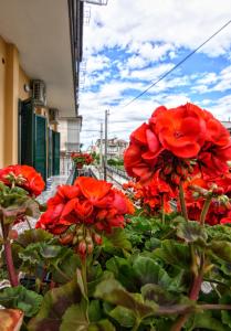 Fotografie z fotogalerie ubytování B&B Grazia v destinaci Capua
