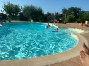 un grupo de personas en una piscina en Villa Antares en Pesaro