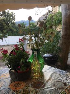 een groene vaas met bloemen en planten op een tafel bij L' Albarosa affittacamere e b&b in Spigno Saturnia