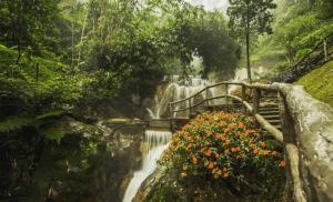 Paesaggio naturale nelle vicinanze del resort