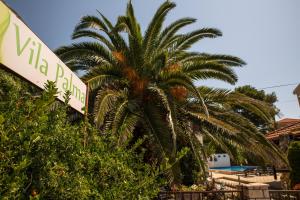 a palm tree in front of a hotel with a sign at Apartments Vila Palma in Medulin