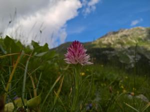 Paesaggio naturale nelle vicinanze del bed & breakfast