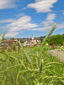 Paesaggio naturale nelle vicinanze del bed & breakfast
