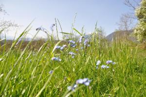 Paesaggio naturale nelle vicinanze del bed & breakfast