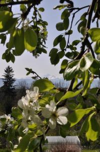 Paesaggio naturale nelle vicinanze del bed & breakfast