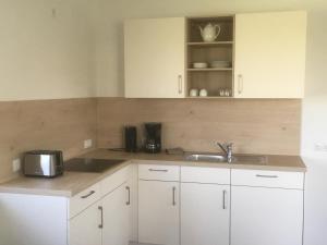 Η κουζίνα ή μικρή κουζίνα στο Ferienwohnung Walkershofen