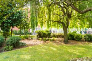 a weeping willow tree in a park with grass at Kingston Theatre Hotel in Hull