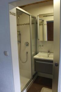 a bathroom with a shower and a sink at Lamplhof B&B in Wiesing