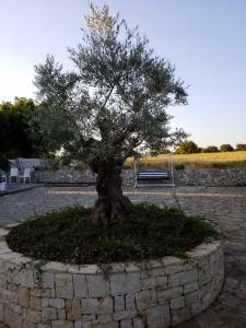 Gallery image of Dimora del Sole in Putignano +37 photos